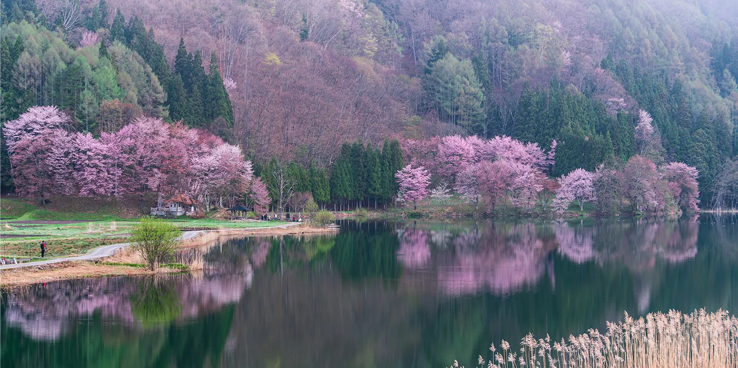 コートヤード・バイ・マリオット 白馬 — 白馬村姫川温泉 · 木質感のある72室の山岳リゾート