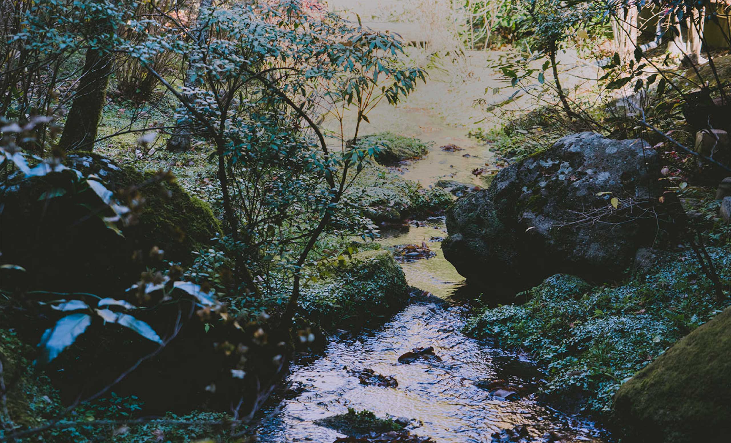 黒川温泉 山みず木 — 熊本・南小国 · 田の原川の渓流が流れる山あいの宿