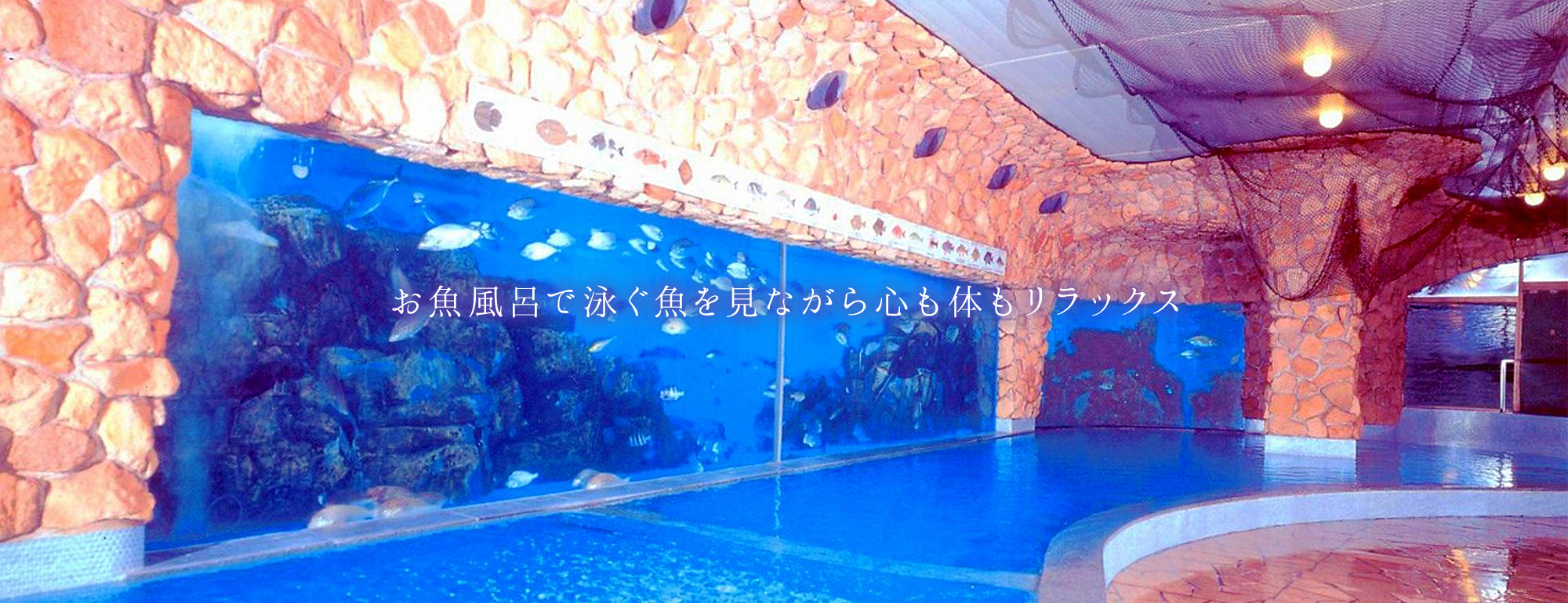 サンハトヤ — 静岡・伊東市 · 大水槽の魚を見ながら入る名物「お魚風呂」、通年屋内プール「古代ビーチ」を備える191室のファミリーリゾート