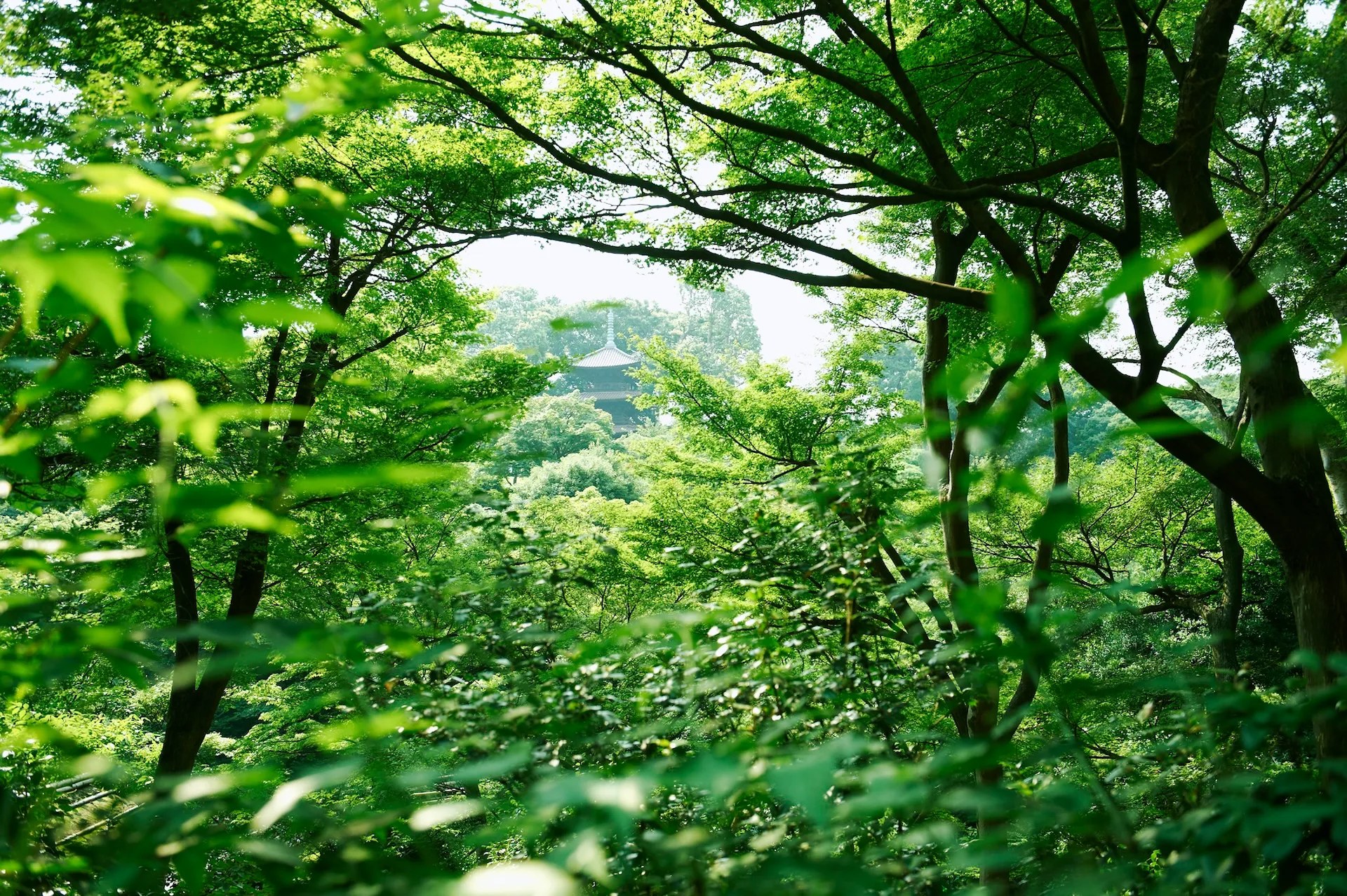ホテル椿山荘東京 — 東京・文京区目白台 · 1952年開業、雲海に包まれる庭園と都心の大浴場「悠 YU, THE SPA」