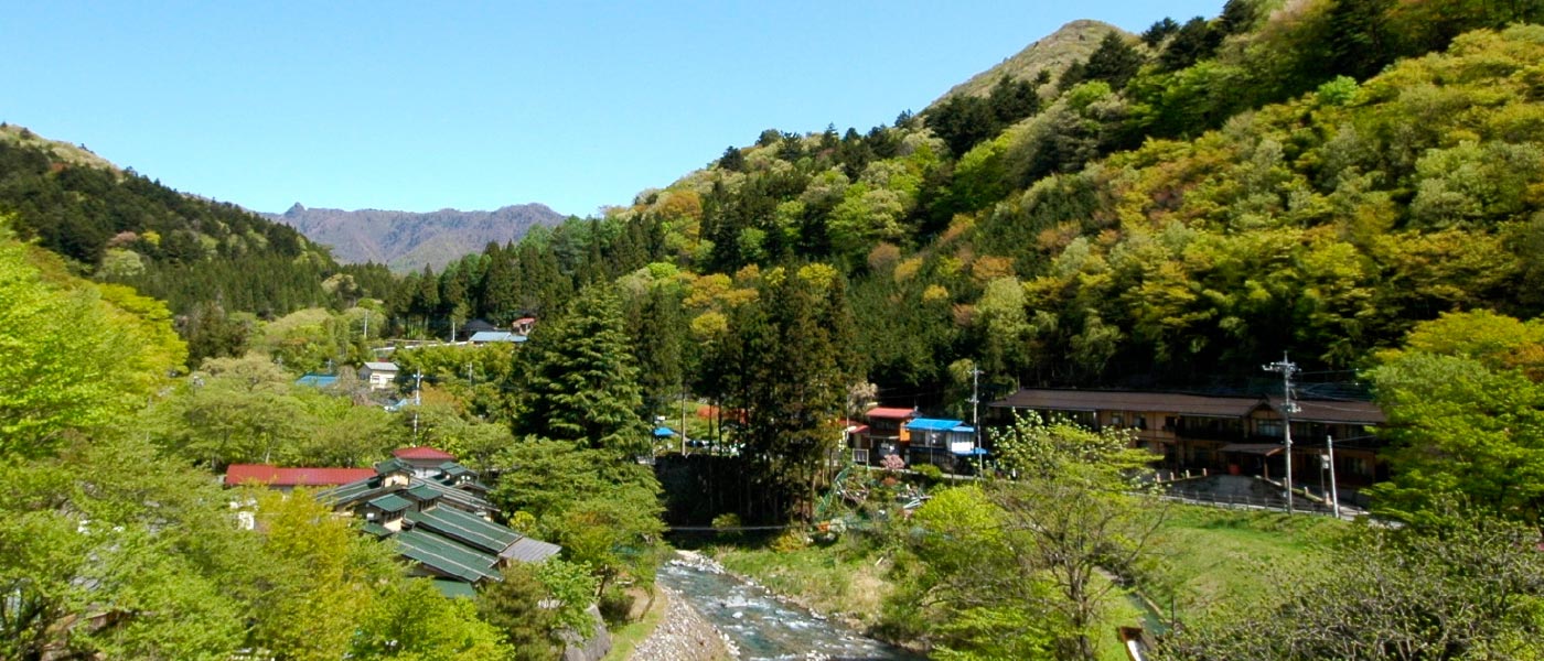 柏屋旅館 — 四万温泉・新湯地区 · 新緑に包まれた四万川渓谷と温泉街を望む高台の眺め