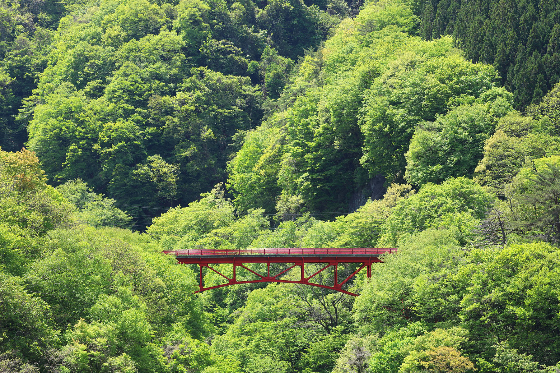 緑霞山宿 藤井荘 — 長野・高山村 · 松川渓谷沿いに建つ山田温泉の老舗、緑深い庭園と数寄屋造りの本館