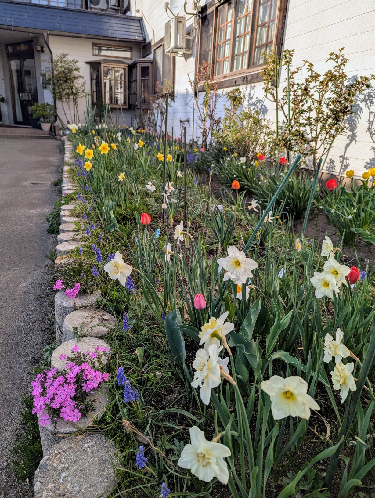 木崎湖温泉 アルペンハイム 山正旅館 — 大町市・木崎湖畔 · 季節の花が咲く玄関まわりと十四室の小さな温泉宿