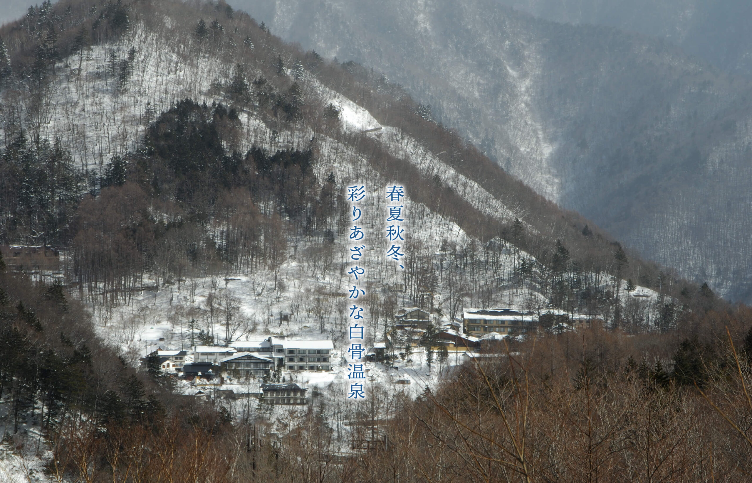 白船荘 新宅旅館 — 白骨温泉の露天と渓谷の眺め