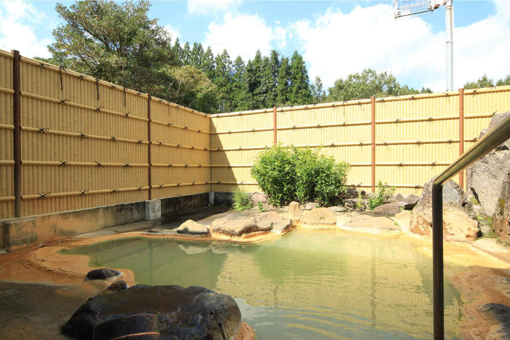 友喜美荘 — 大分・竹田 長湯温泉 · 体に泡が立つ高濃度炭酸泉の内湯