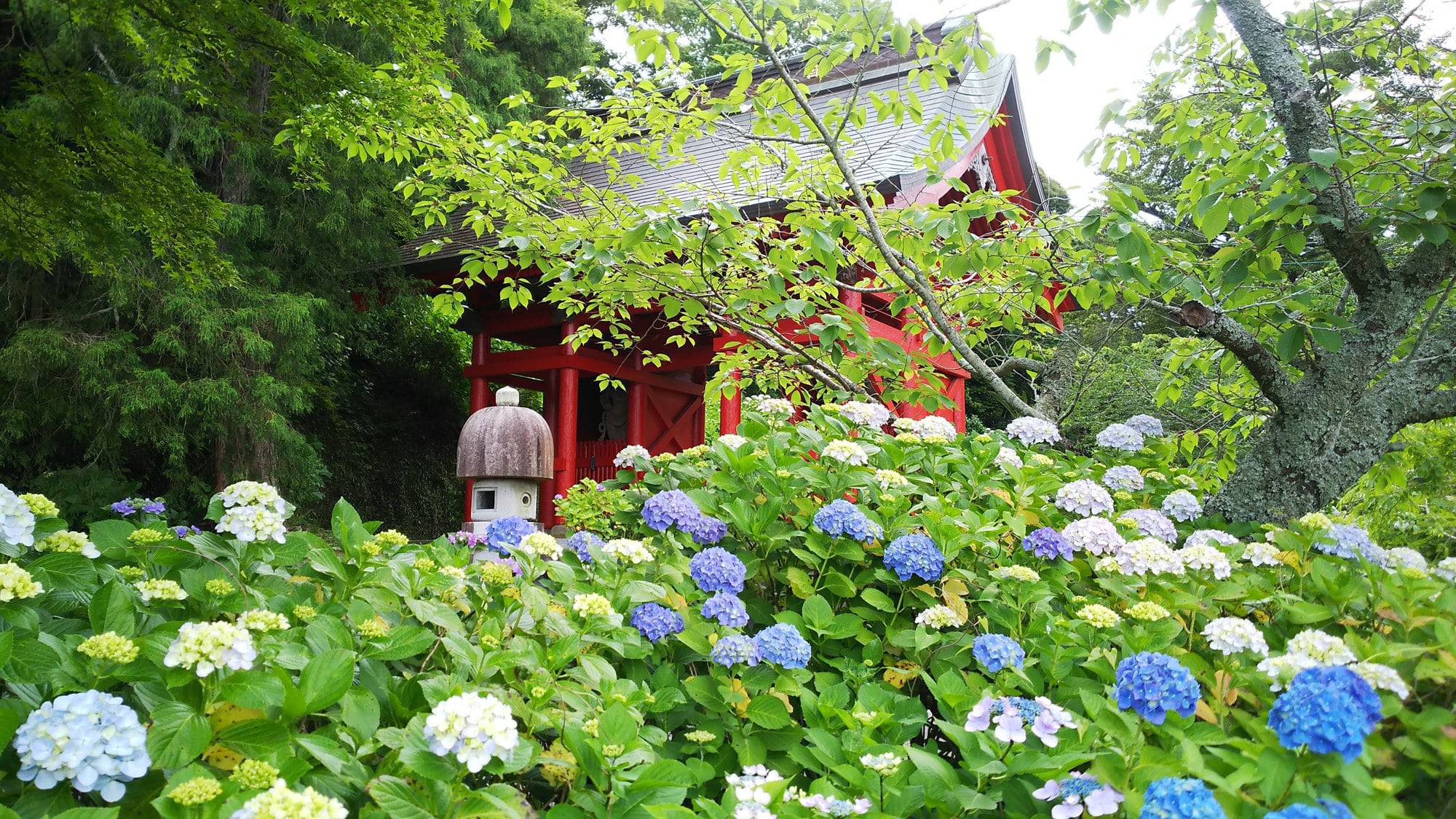 休暇村 館山 — 館山・見物 · 館山湾を望む全室オーシャンビューの公共系リゾート