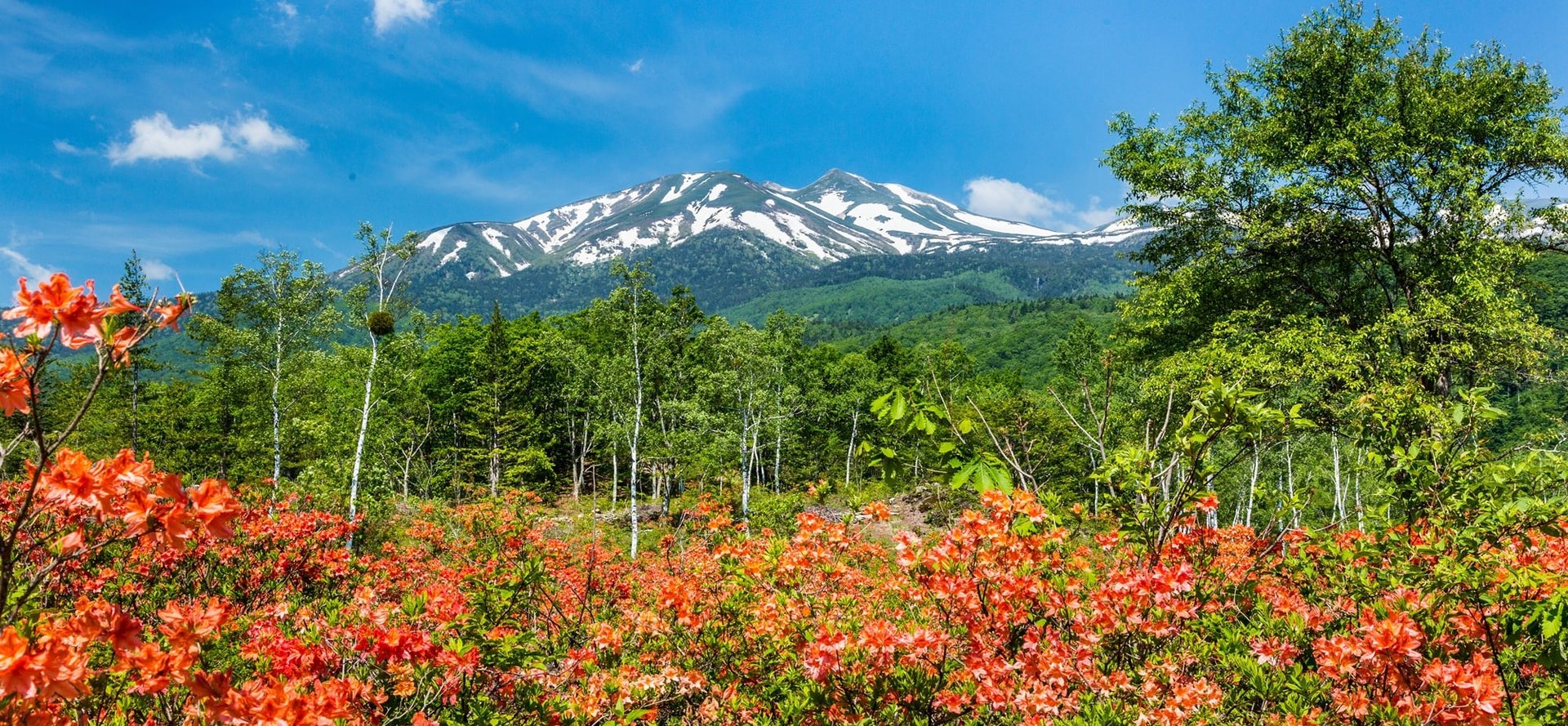 休暇村 乗鞍高原 — 長野県松本市安曇 · 標高1,600m、白樺林に囲まれた中部山岳国立公園内の家族リゾート