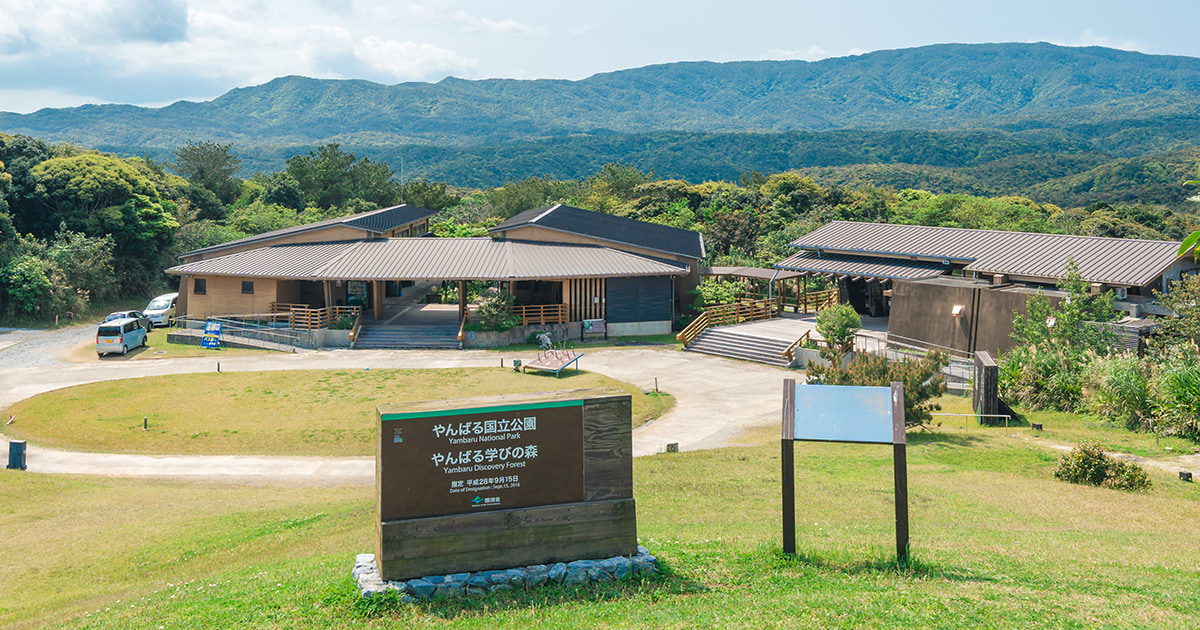 やんばる学びの森 — 国頭村安波 · やんばるの森を見渡す宿泊棟と環境教育センター