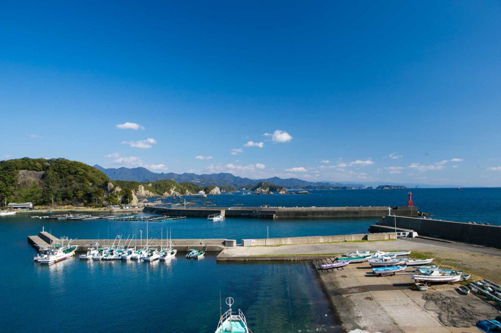 【一軒の宿】和歌山・太地町 古式捕鯨400年の港町に泊まる夏 — くじらの博物館徒歩5分の少室数宿で、海と命の倫理を大人ふたりで考える1泊2日