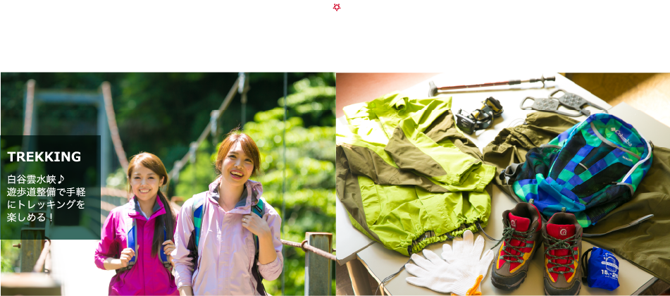屋久島観光旅館 田代別館 — 宮之浦・世界自然遺産の島の玄関口に立つ老舗旅館