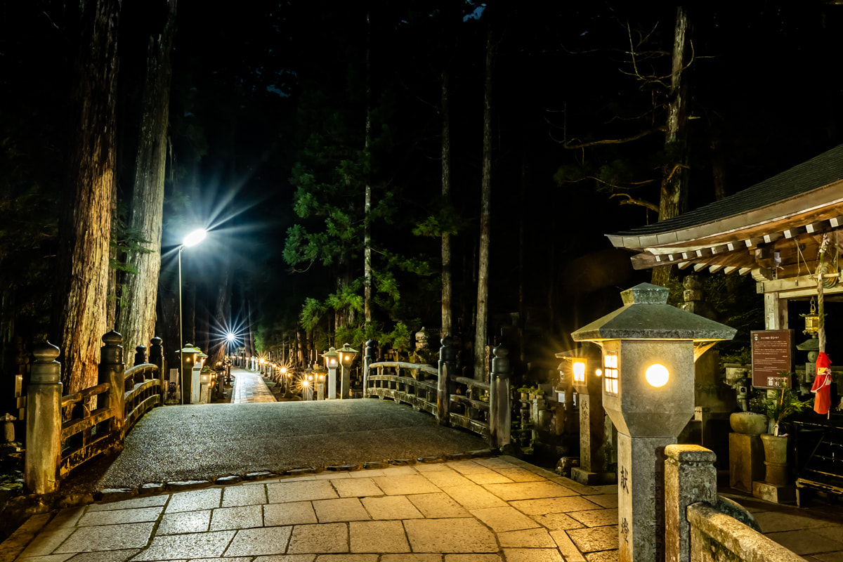奥之院 夜の参道 — 高野山・一の橋 · 灯籠に照らされた杉木立の石橋