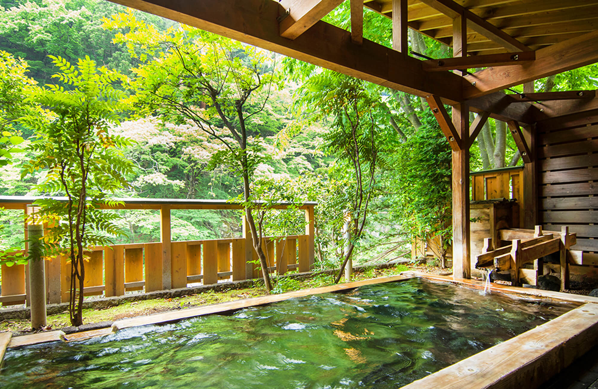 湯ったりの宿 松楓楼 松屋 — 栃木県那須塩原市・福渡温泉 · 渓谷の新緑に面した屋根付き露天風呂と木の湯口