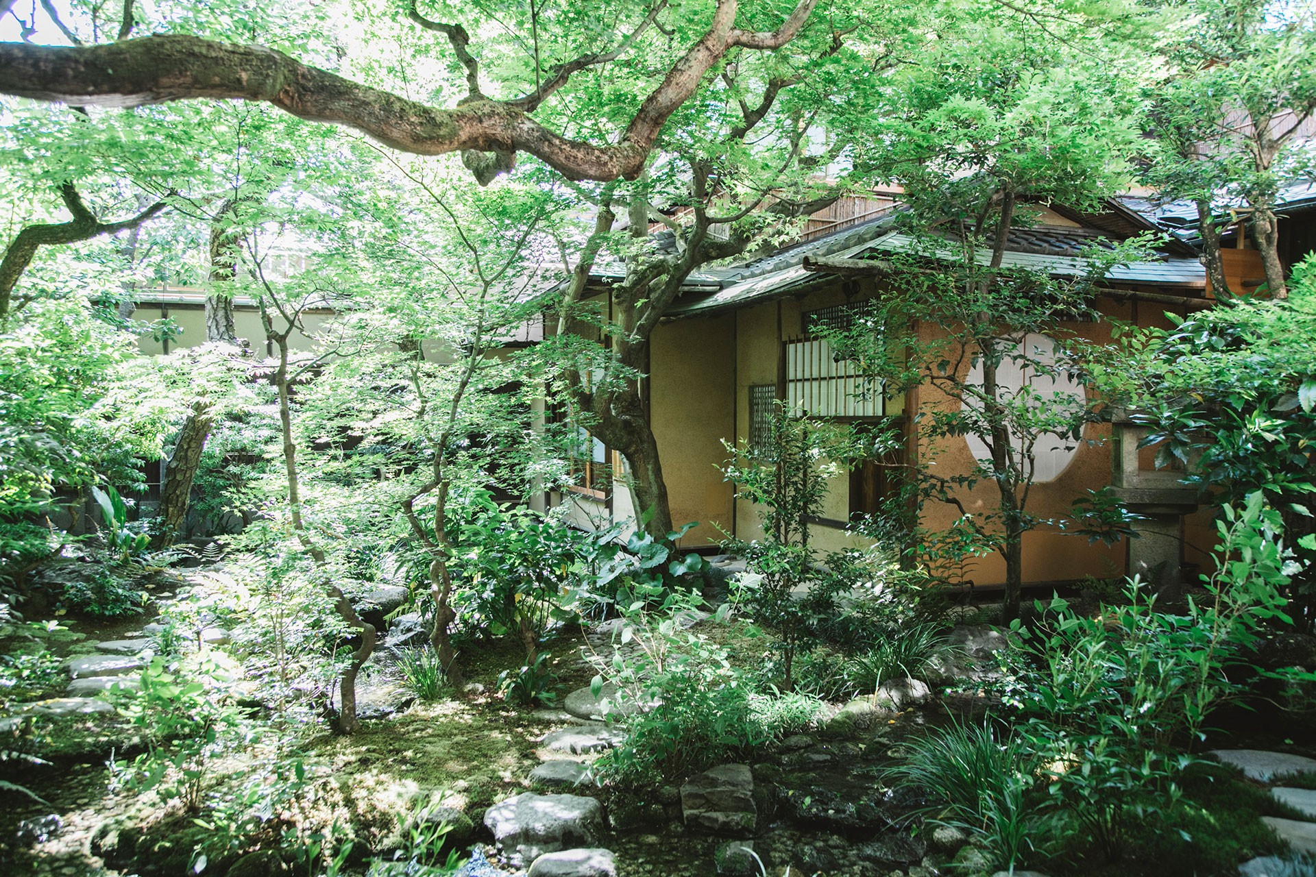 そわか — 京都・東山下河原 · 大正期の元お茶屋を継ぐ数寄屋建築と青もみじの庭