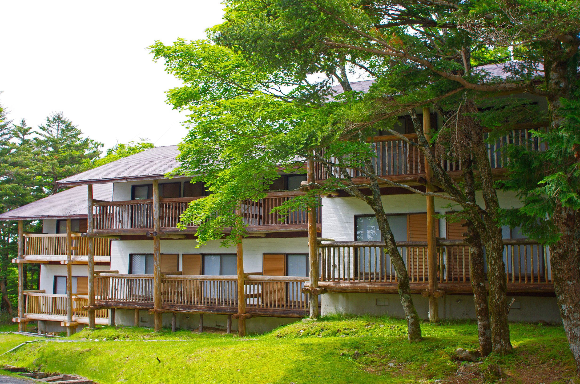 心・湯治館 — 奈良県上北山村・大台ヶ原 · 夏の森に囲まれた木造バルコニーの宿泊棟