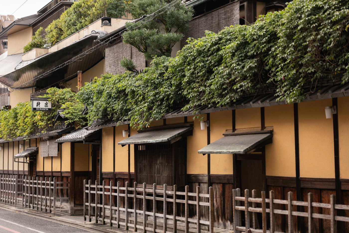 柊家 — 京都・麸屋町通 · 1818年創業、緑に覆われた数寄屋造りの老舗旅館の外観