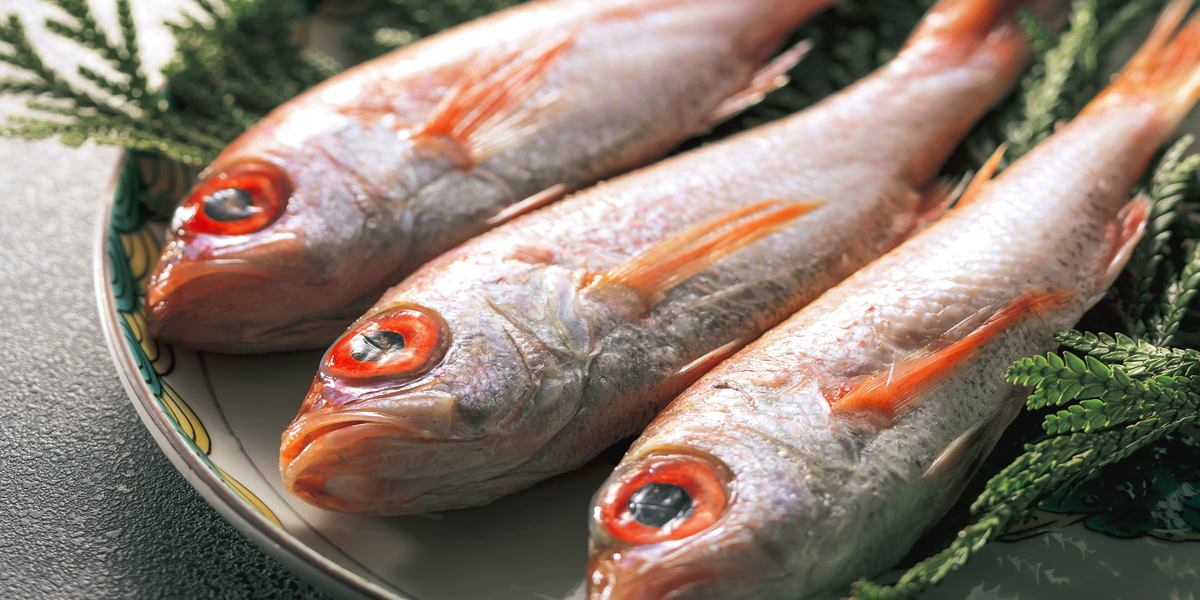 味な宿 宝仙閣 — 石川県七尾市・和倉温泉 · 会席で一尾付けで供されるのどぐろ