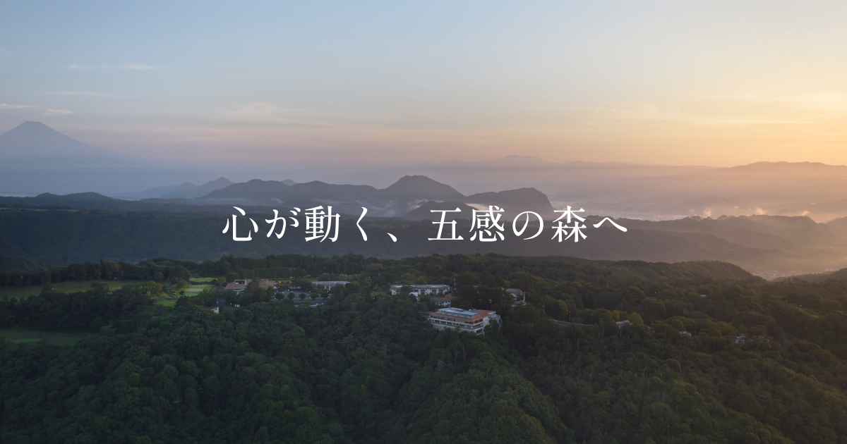 ホテルラフォーレ修善寺 — 静岡県伊豆市・ラフォーレリゾート修善寺 · 森に広がる敷地と富士山の眺め